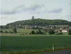 7214956 B