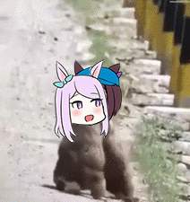 1495795 B