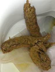 6241 B
