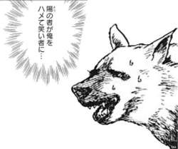 108556 B