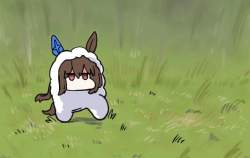 42775 B