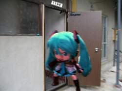444916 B