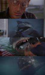 329565 B