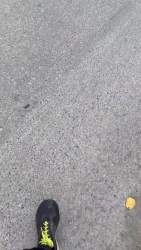 1357731 B