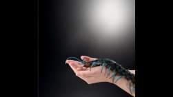 2089270 B