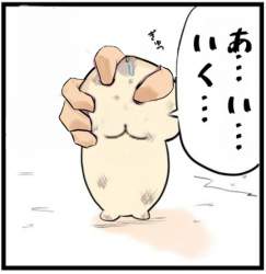 99699 B
