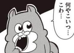10266 B