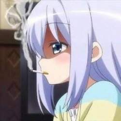 33775 B