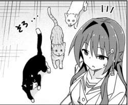 85383 B