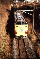 995517 B