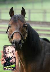 722833 B