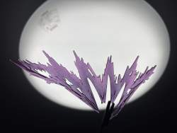 1263605 B