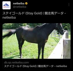 856554 B