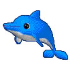 6636 B
