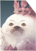 10801 B