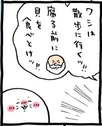 260723 B