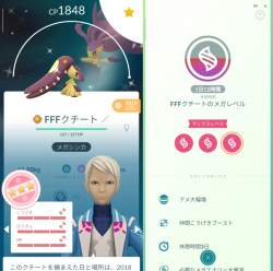 416531 B