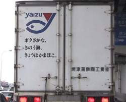 38535 B