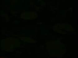 2239233 B