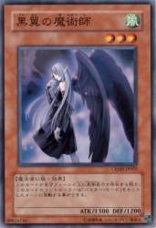53516 B