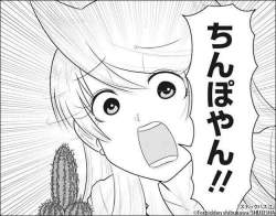 66548 B